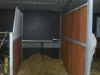 Blo Norton - American Barn horse stables SS - Supreme Carriages - Suffolk - OZ-UK Steel Buildings Ltd