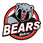 Steel Buildings Bears Speedway Pits steel buildings